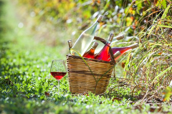 Quels sont les vins du Jura ?